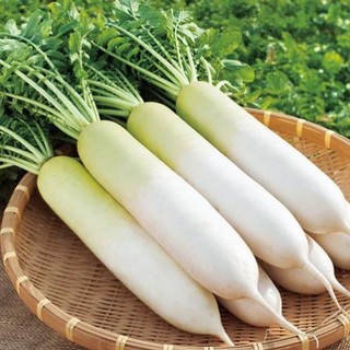 hạt giống củ cải trắng .