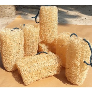 Bông Tắm Xơ Mướp, Xơ Mướp Tẩy Tế Bào Chết, Miếng Rửa Chén Cắt Khúc 12cm, Massage Da, 100% Hàng Hữu Cơ Xuất Khẩu