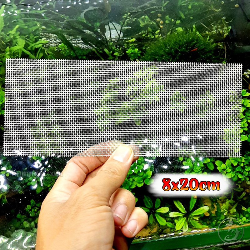 Vĩ inox 8x20cm | Vĩ Buộc Rêu - Ươm Cây Thủy Sinh | Shopee Việt Nam