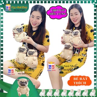 [HÀNG HOT] THÚ NHỒI BÔNG CON CHÓ PUG  SIÊU CƯNG CHO BÉ - GẤU BÔNG CON CHÓ PUG SIÊU CƯNG