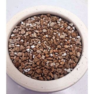 Giá thể trồng cây thoát nước trộn sẵn cho Sen Đá và Xương Rồng túi 1kg vườn sen đá MẦM NẮNG GARDEN
