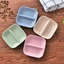 Combo 10 đĩa phíp 2 ngăn tiện dụng