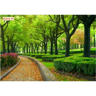 Tranh 3D Hàng Cây, Rừng Cây, Cây Xanh Dán Tường Cao Cấp