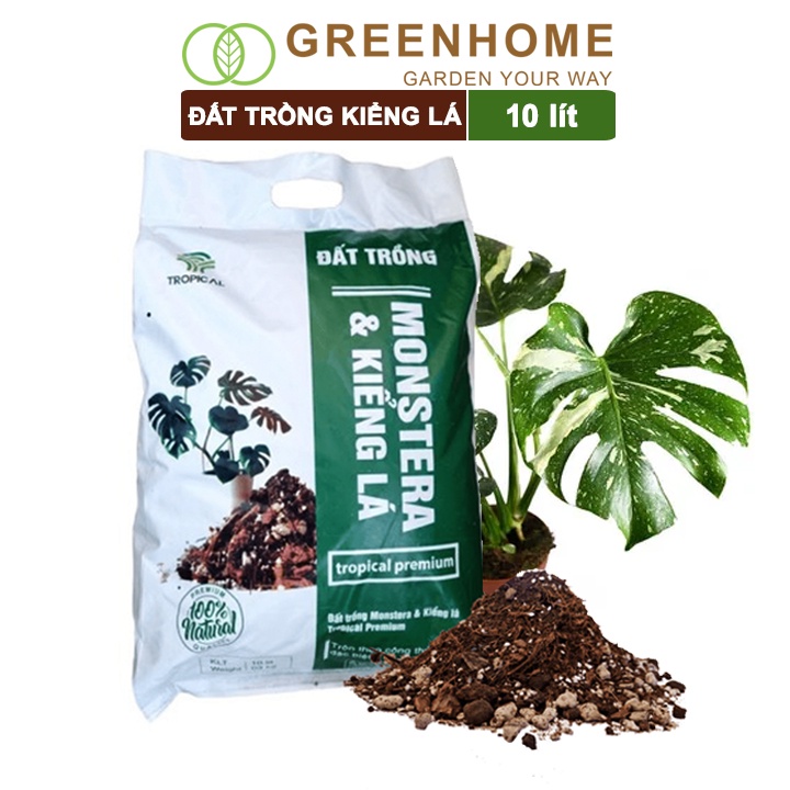 Đất trồng monstera, kiểng lá, Greenhome bao 10 lít (3kg), giá thể trộn sẵn, đầy đủ chất tropical premium