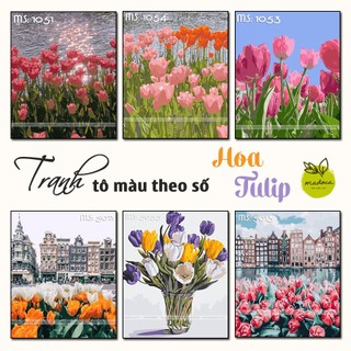 [TỔNG HỢP] Tranh Tô Màu Theo Số Hóa Madoca Mẫu Hoa Tulip Nhiều Kích Thước Để Lựa Chọn