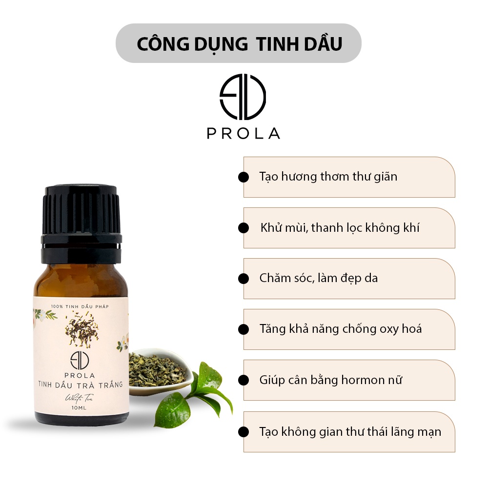 Ảnh Tinh dầu thiên nhiên PROLA Hương Trà Trắng White Tea nhẹ nhàng, thanh khiết 3