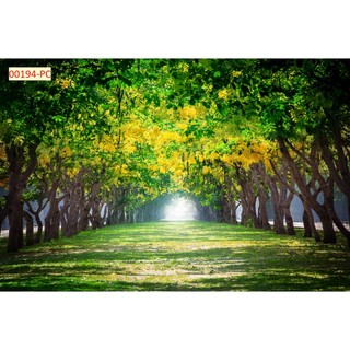 Tranh 3D Dán Tường Hàng Cây Khổ Lớn tặng keo dụng cụ