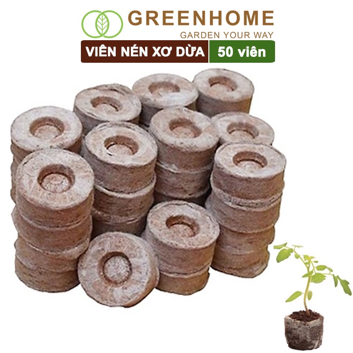Viên nén xơ dừa, bao 50 viên, ươm hạt giống trồng cây, ươm hạt, ươm cây giống, trồng dâu tây, thuỷ canh |Greenhome