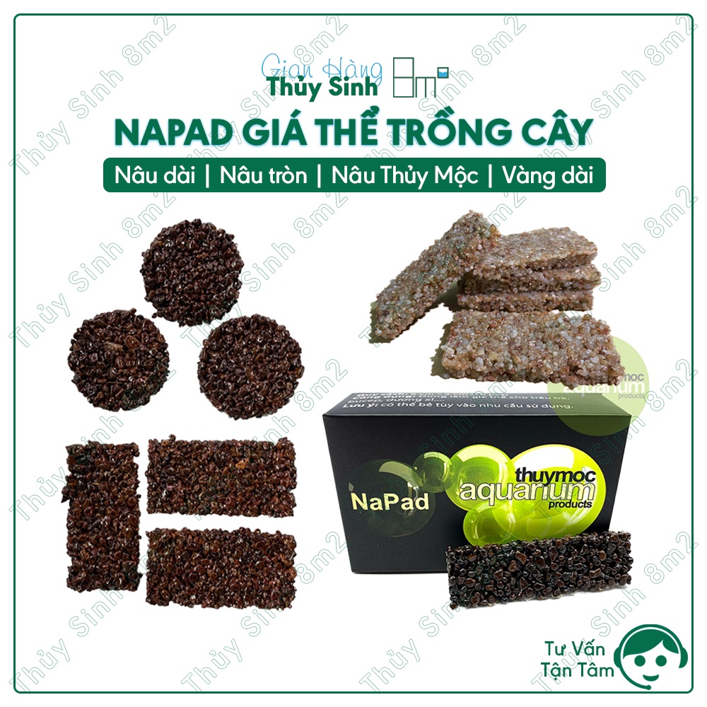 (1 Thanh) Napad Thủy Mộc Giá Thể Ươm Trồng Rêu, Cây Thủy Sinh | 8m2 ...