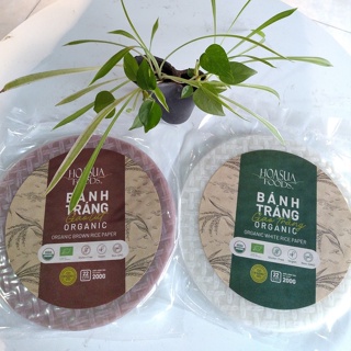 Twin Rabbit Brown Rice Paper / Banh Trang Gao Luc (22 cm) 10 oz