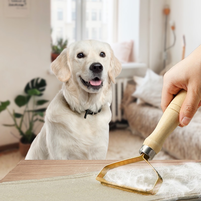 HamshMoc Di Động Thú Cưng Tẩy Lông Có Thể Tái Sử Dụng Lint Brush Mannual Brush Máy Cạo Lông Nhanh Hai Mặt Vải Dính Pilling Remover Scraper