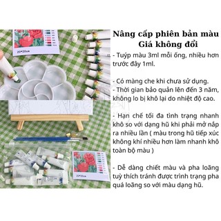 Tranh tô màu theo Sanrio size 20x20cm căng khung sẵn