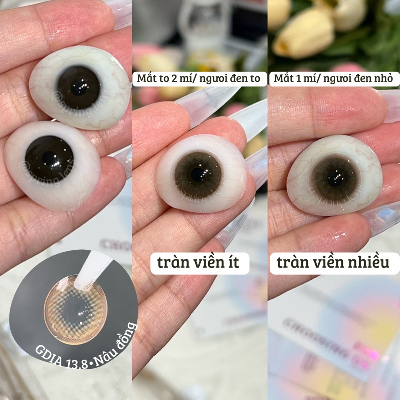 Kính áp tròng nâu đồng LM Brown (Lightly Modern) có giãn tròng 1 tháng | Spring Lens