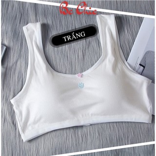 Áo lót học sinh VECYLA bản to khoá cài sau, áo lót nữ B611