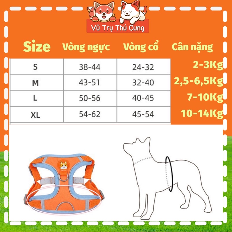Đai yếm kèm dây dắt thú cưng đi dạo, thiết kế nịt ngực chắc chắn, tiện lợi
