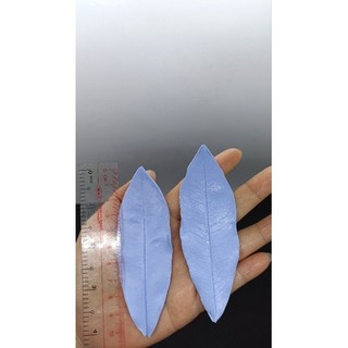 BỘ GÂN CÁNH LÀM HOA VÀ LÁ MAI lấy từ hoa thật