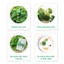 Bột Rau Sấy Lạnh Nguyên Chất Túi 100g - Mát gan, detox, giảm mụn, thâm, giảm cân, ngủ ngon, gout, trĩ, táo bón