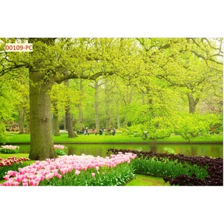 Tranh Dán Tường Trang Trí Cây Xanh, Hàng Cây, Rừng Cây trang trí nhà cửa