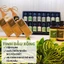 Tinh Dầu Trà Tràm Khalifa 50ml Tốt Cho Da Giảm Stress Khử Mùi Chống Say Xe Hàng Chính Hãng
