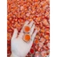 Tẩy Thâm Môi Collagen Thiên Di Dưỡng Môi Hồng Tự Nhiên Giúp Môi Luôn Hồng Hào Lọ 8gr Date 2024