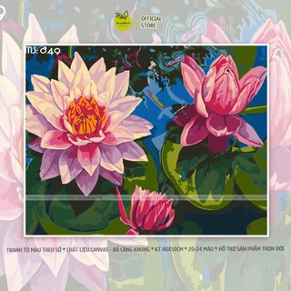 Tranh tô màu theo số 40x50cm có khung hoa sen hồng T849
