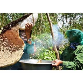 MẬT ONG RỪNG GIÀ NGUYÊN CHẤT -  TỰ NHIÊN 100%