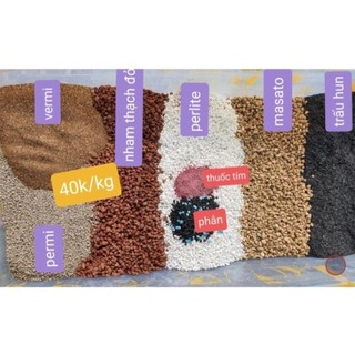 Giá thể trồng cây thoát nước trộn sẵn cho Sen Đá và Xương Rồng túi 1kg vườn sen đá MẦM NẮNG GARDEN