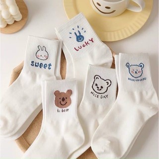 Tất labubu Các loại Set tất gấu kèm các loại tất unisex co giãn siêu xinh
