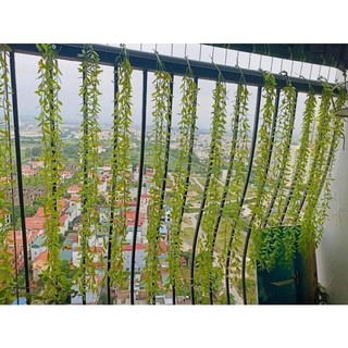 Bụi rủ lá leo decor 5 nhánh nhựa pvc bền đẹp( Cúc tần ấn độ, vảy ốc, thường xuân)-Cây lá giả