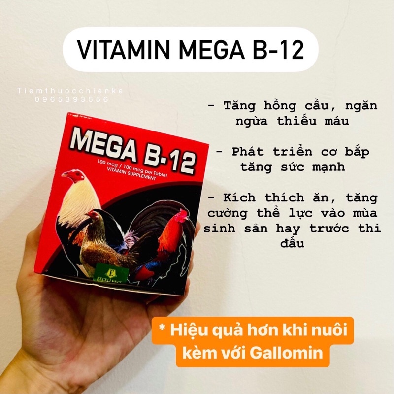 [HÀNG CHÍNH HÃNG] VITAMIN MEGA B12 - HỘP 10 VỈ/ 100 VIÊN | Shopee Việt Nam