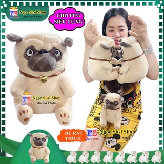 [HÀNG HOT] THÚ NHỒI BÔNG CON CHÓ PUG  SIÊU CƯNG CHO BÉ - GẤU BÔNG CON CHÓ PUG SIÊU CƯNG