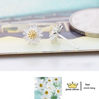 bông tai cúc họa mi , chốt chắc chắn , bạc chuẩn sáng - jena sliver