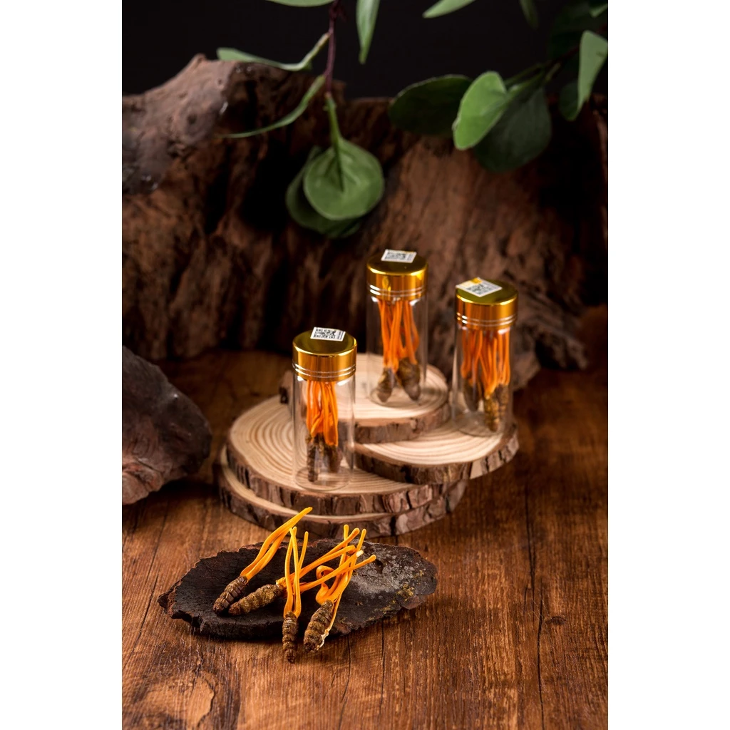 Đông Trùng Hạ Thảo Mailands