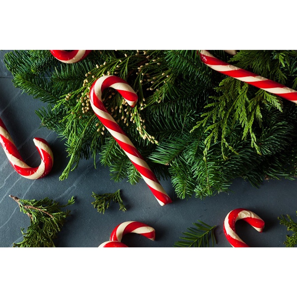 Kẹo cây gậy noel giáng sinh bạc hà đủ size