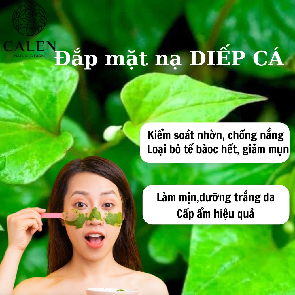 Bột diếp cá Calen ngăn ngừa mụn cám , giảm táo bón thanh nhiệt giảm nóng trong Calen Herb Powder