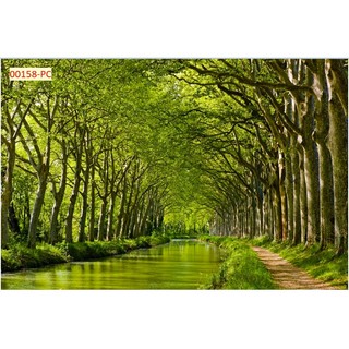 Tranh 3D Hàng Cây, Rừng Cây, Cây Xanh Dán Tường Cao Cấp