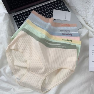 Quần Lót Cotton Lưng Vừa Màu Sắc Xinh Xắn Cho Nữ