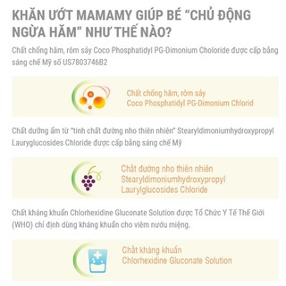 Khăn Giấy Ướt Mamamy 30 Tờ Có Mùi Hương Thơm Mát Chống Hăm Cho Bé
