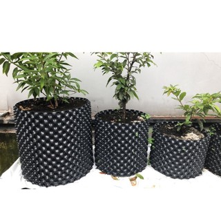 5m Bầu ươm cây V6 cao 30cm tặng ốc vít
