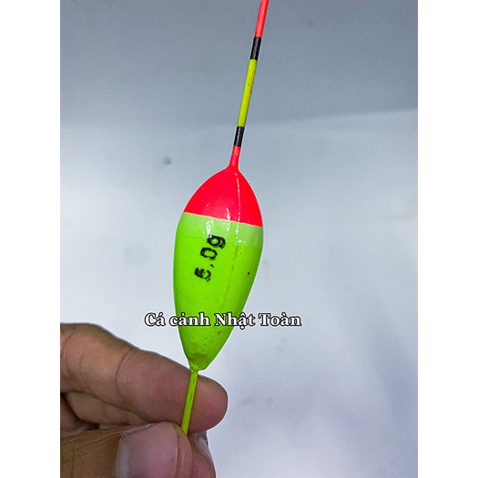 (2 PHAO) PHAO KIM MÚT 2 MÀU 5GRAM PHAO CÂU CÁ