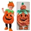 Trang phục bí ngô dễ thương cho trẻ em Hoàn hảo cho lễ kỷ niệm Halloween và trang điểm