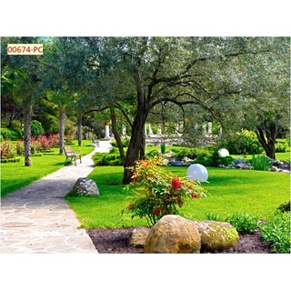 Tranh 3D Dán Tường Hàng Cây Khổ Lớn, dán phòng khách, phòng ăn