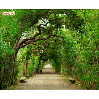 Tranh 3D Hàng Cây, Rừng Cây, Cây Xanh Dán Tường Cao Cấp