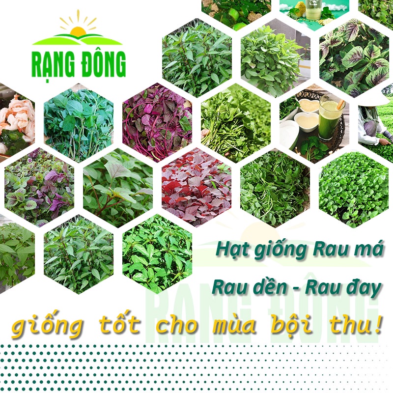 Hạt giống Rau Đay - Rau Dền - Rau Má trồng quanh năm, Rau Củ Quả trồng ...