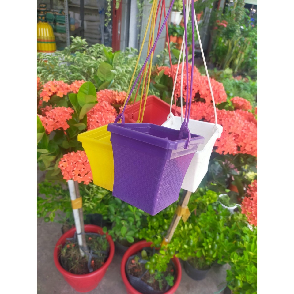 Bộ 3 chậu treo mini vuông và tròn (màu ngẫu nhiên) | Shopee Việt Nam