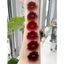 Son Kem Siêu Lì Mịn Merzy Academia Mellow Tint