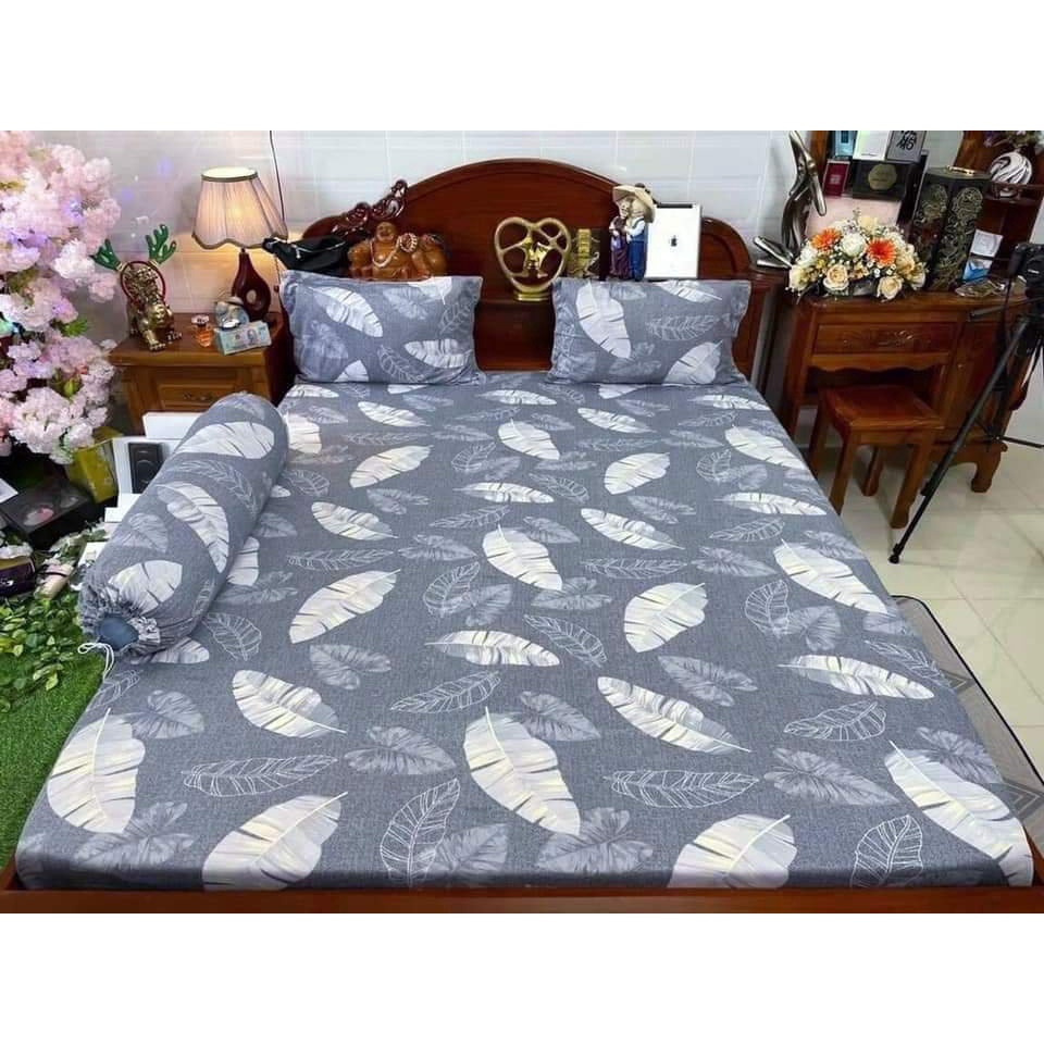 Bộ ga thun hàn quốc 4 món rẻ đẹp LÁ CHUỐI XÁM