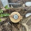 Đồng hồ đeo tay nam vỏ gỗ WoodWatch GT114-1A