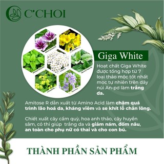 Lõi phấn nước C'CHOI HERBAL DD CUSHION che khuyết điểm, dưỡng trắng Tone 23