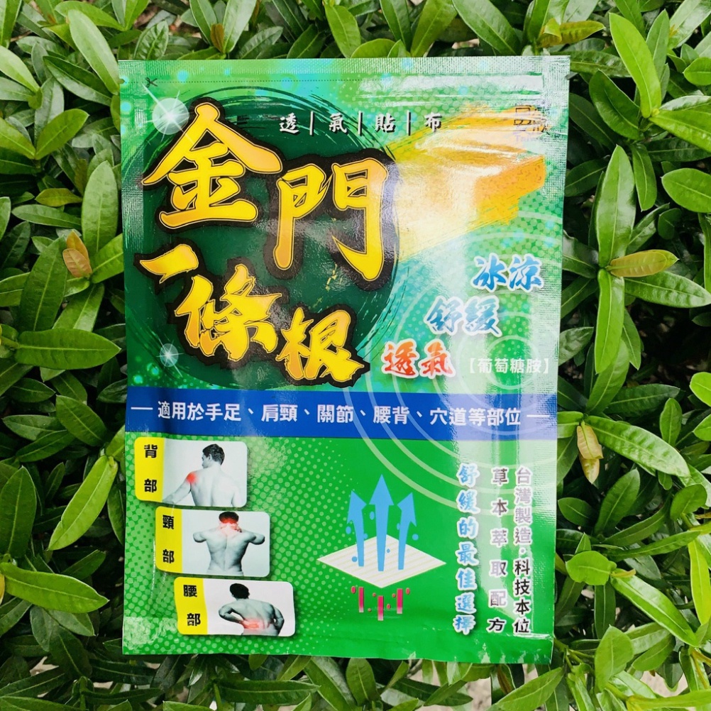 Combo cao dán thảo dược Nhất Điều Căn giảm nhức mỏi thư giãn  AN XIN Đài Loan 10 miếng/túi